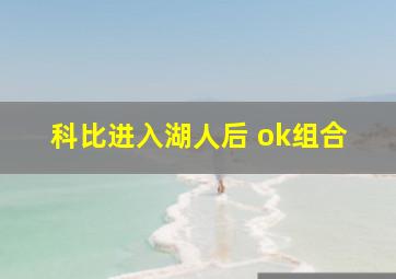 科比进入湖人后 ok组合